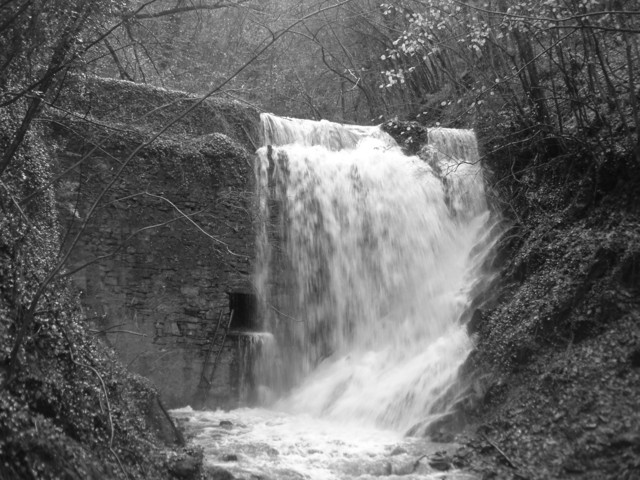  Image name: DSCF2013.JPG 
 width: 640 pixel 
 height: 480 pixel 
 Size: 101143 bytes 
 Click to enlarge 